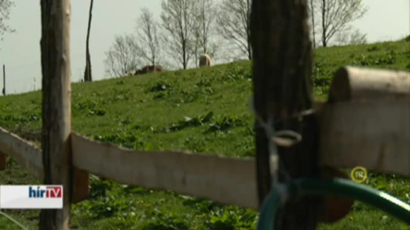 Soroló – Két generáció családi gazdasága