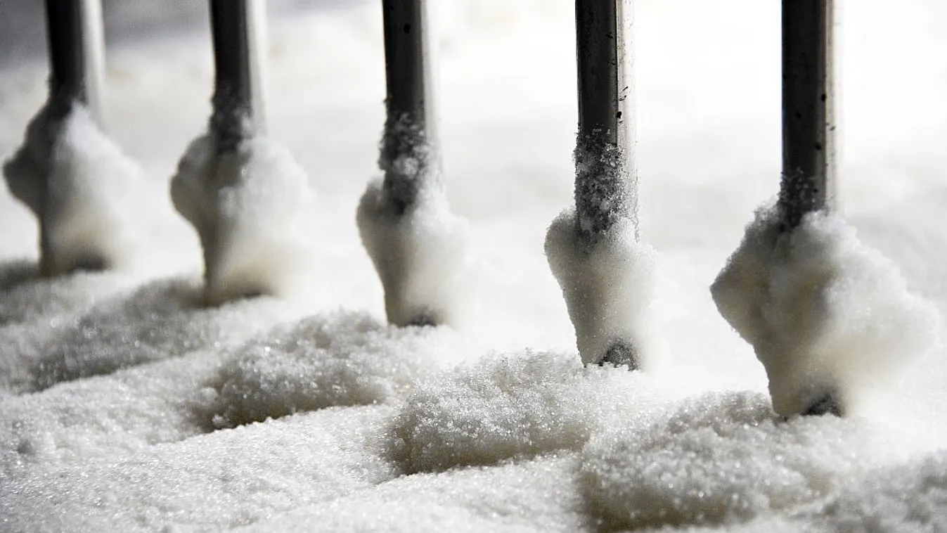 A kormány segítségére nagy szükség volt