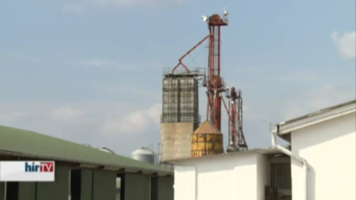 Soroló – Nem értik