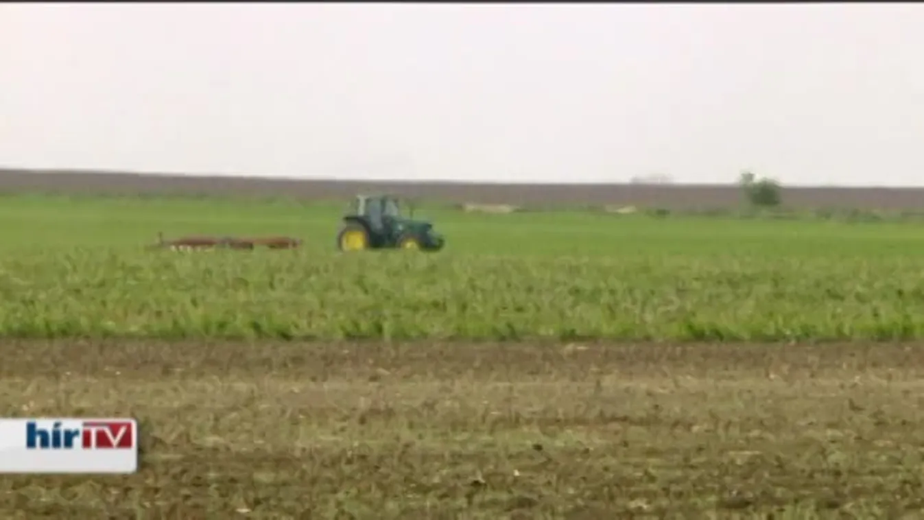 Az új bérlők kiszántották a kishantosi vetést