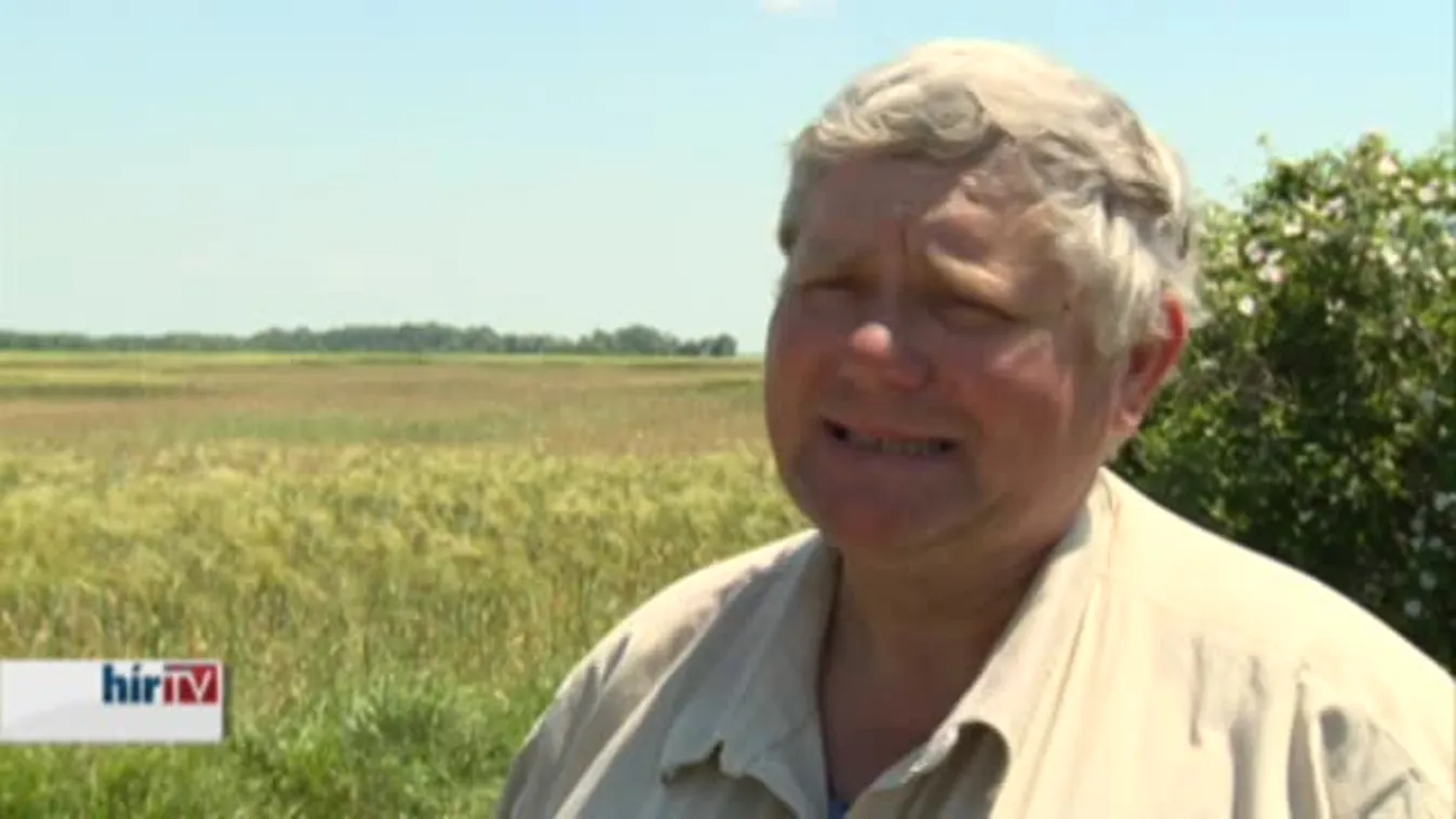 Soroló – Pocokinvázió