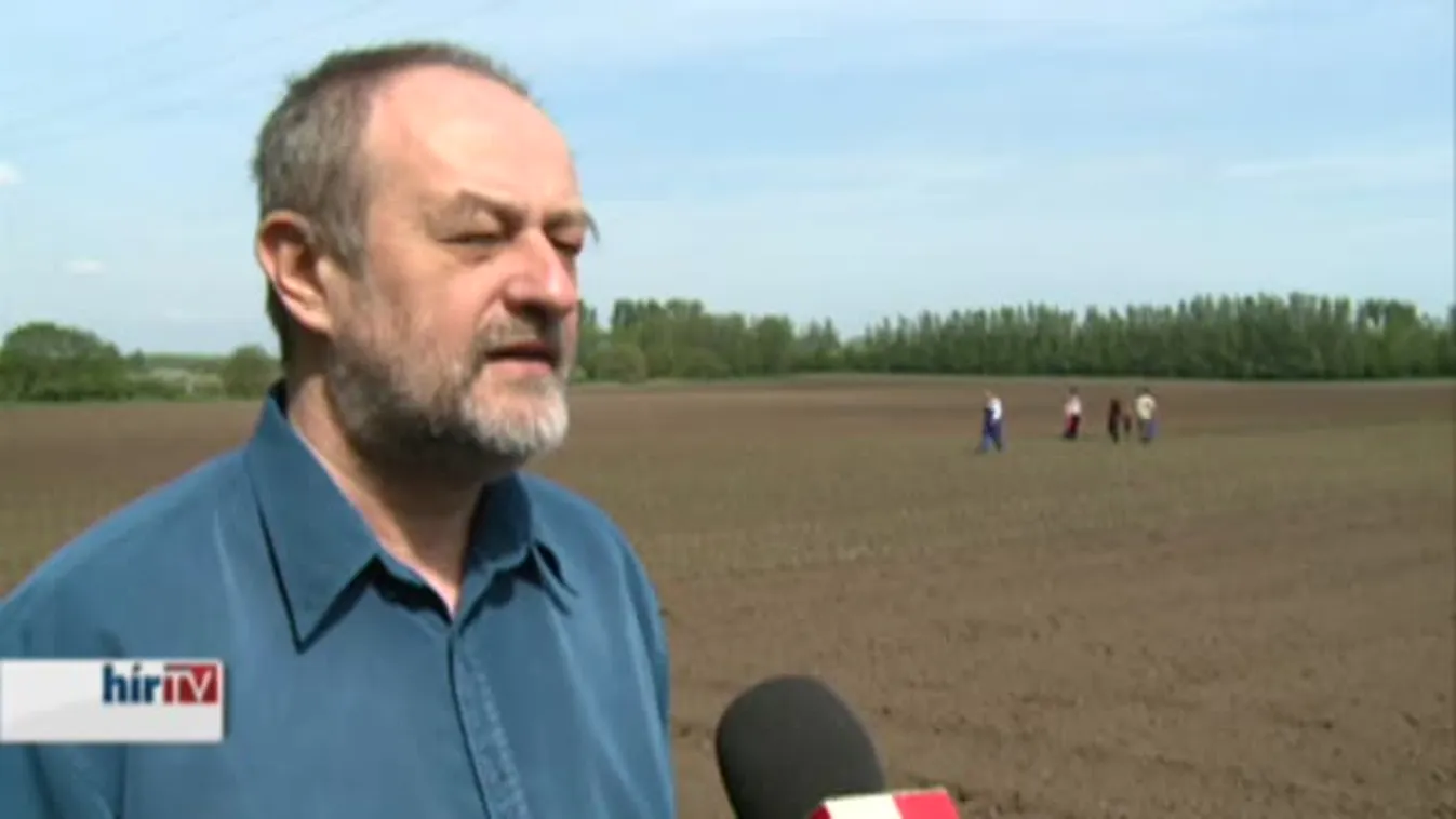 Soroló - Türelem és még egyszer türelem