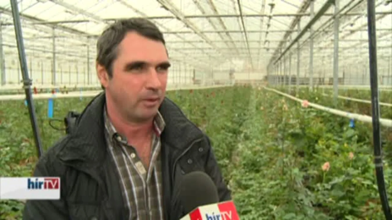 Soroló - Teljesen befellegezhet az ízfokózóknak