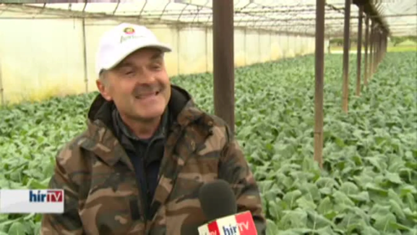 Soroló – A kertészek gondjai