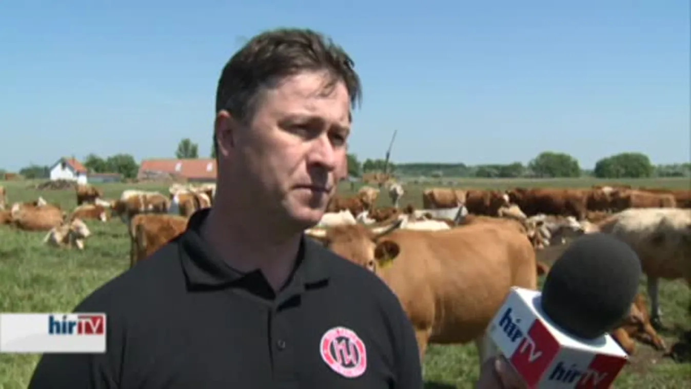 Soroló – Emléktáblát kapott az idős vackor