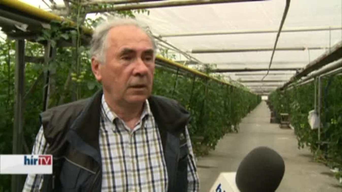 Soroló – Hatósági szembecsukás?