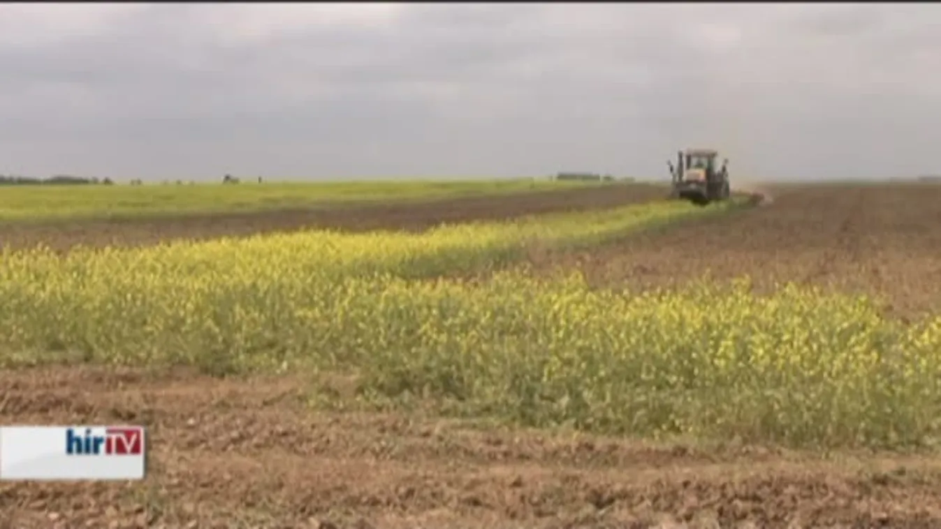 Csányi Sándor: drágulni fognak az élelmiszerek