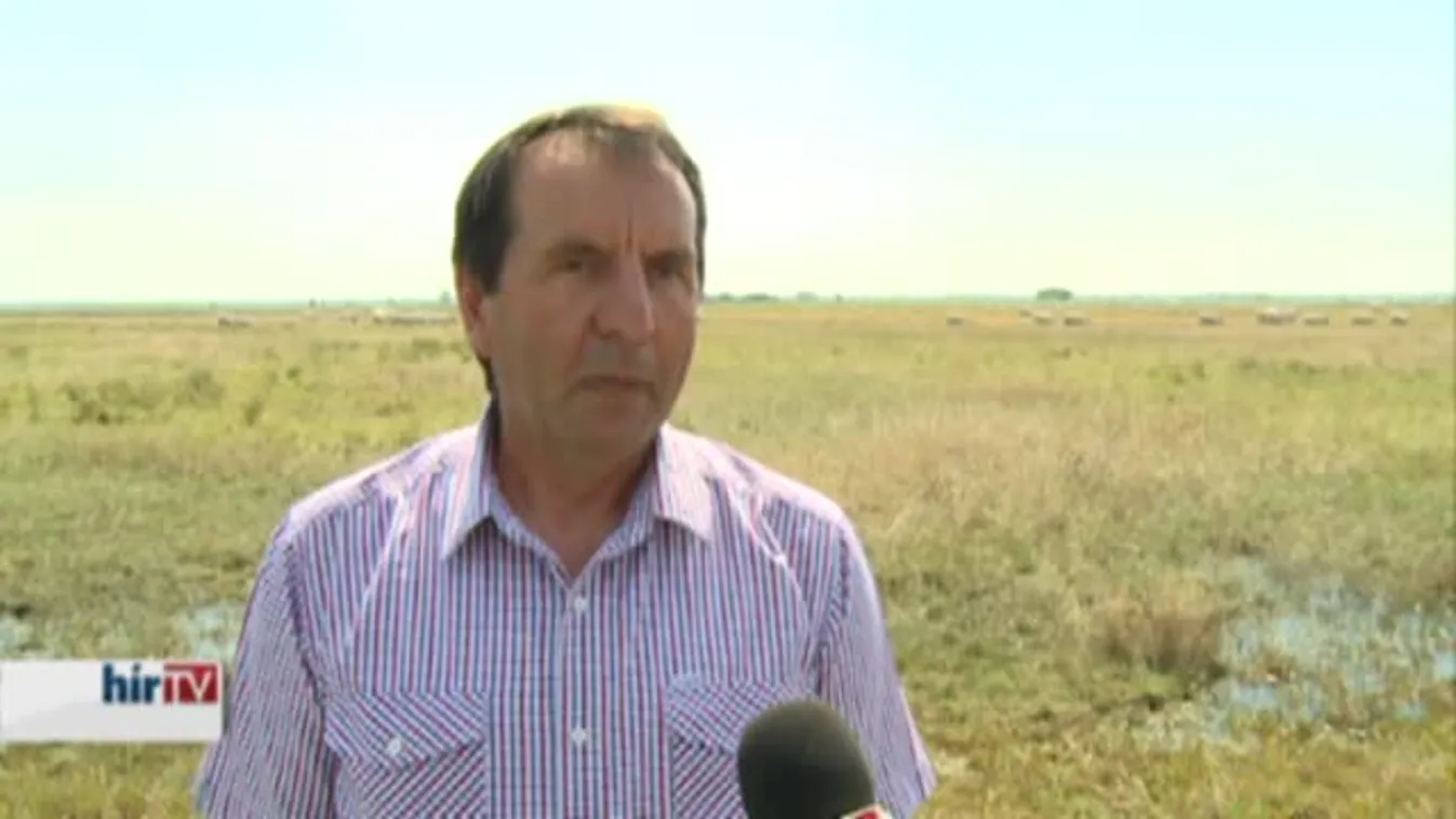 Soroló – Az újra felfedezett kendertermesztés