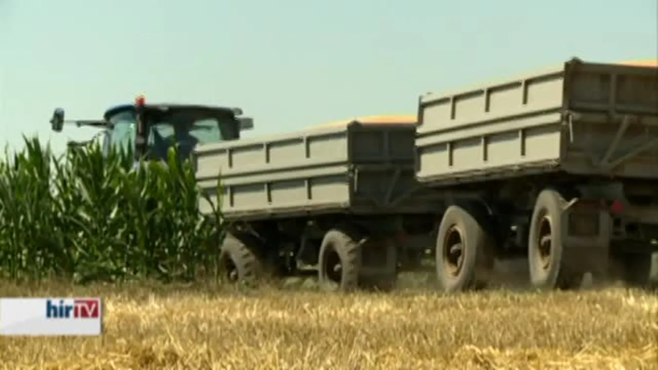 Soroló – Többet ígért az árpa és a búza