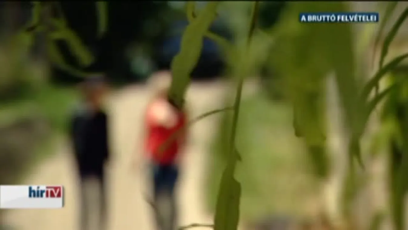 Több mint egymillió forint járhat vissza - Kamatos kamatot kaphatnak