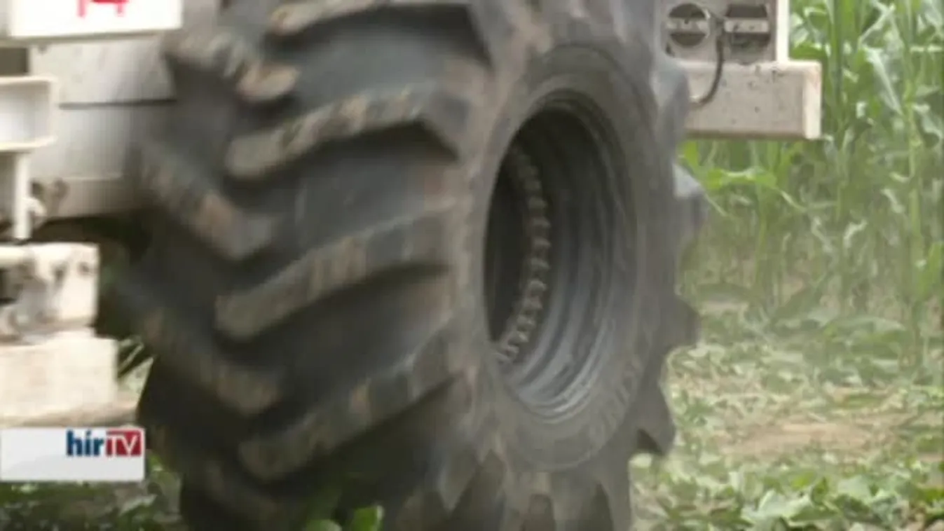 Soroló - Mi nem tudunk magyarul