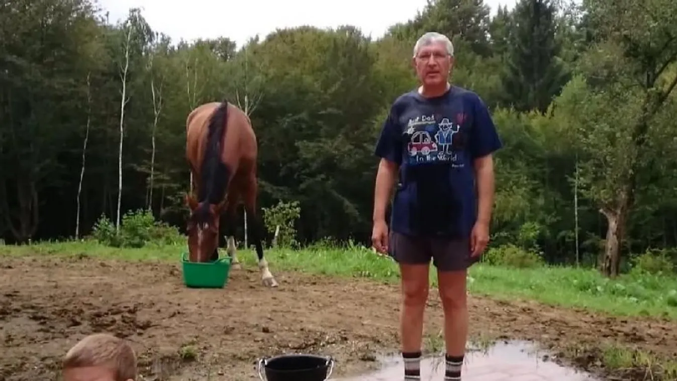 Fordulat várható Falus Ferenc kampányában - Kiszelly Zoltán