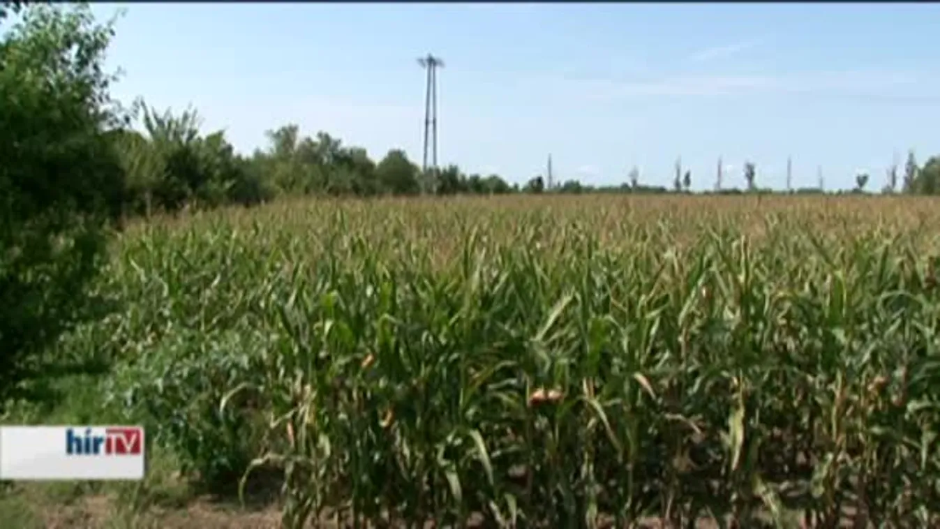 A tulajdonosoknak nem kell aggódniuk
