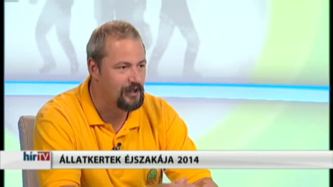 Paletta – Állatkertek éjszakája 2014