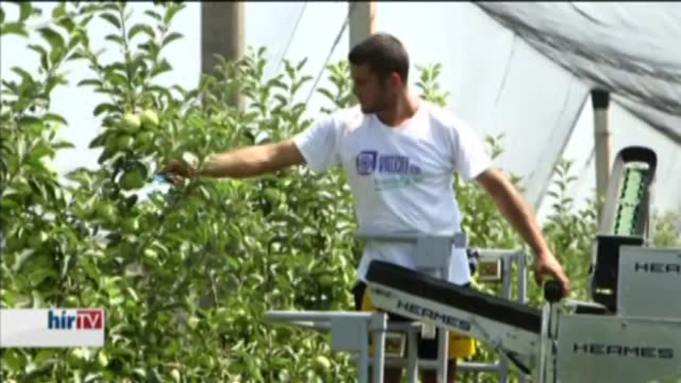 Már mutatkoznak az orosz szankciók hatásai