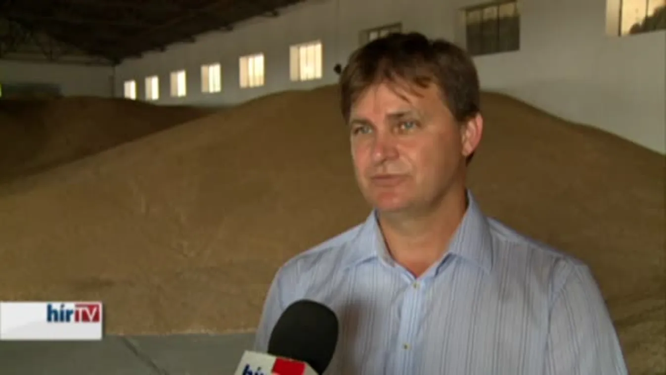 Soroló - Csalódtak a gabonatermesztők