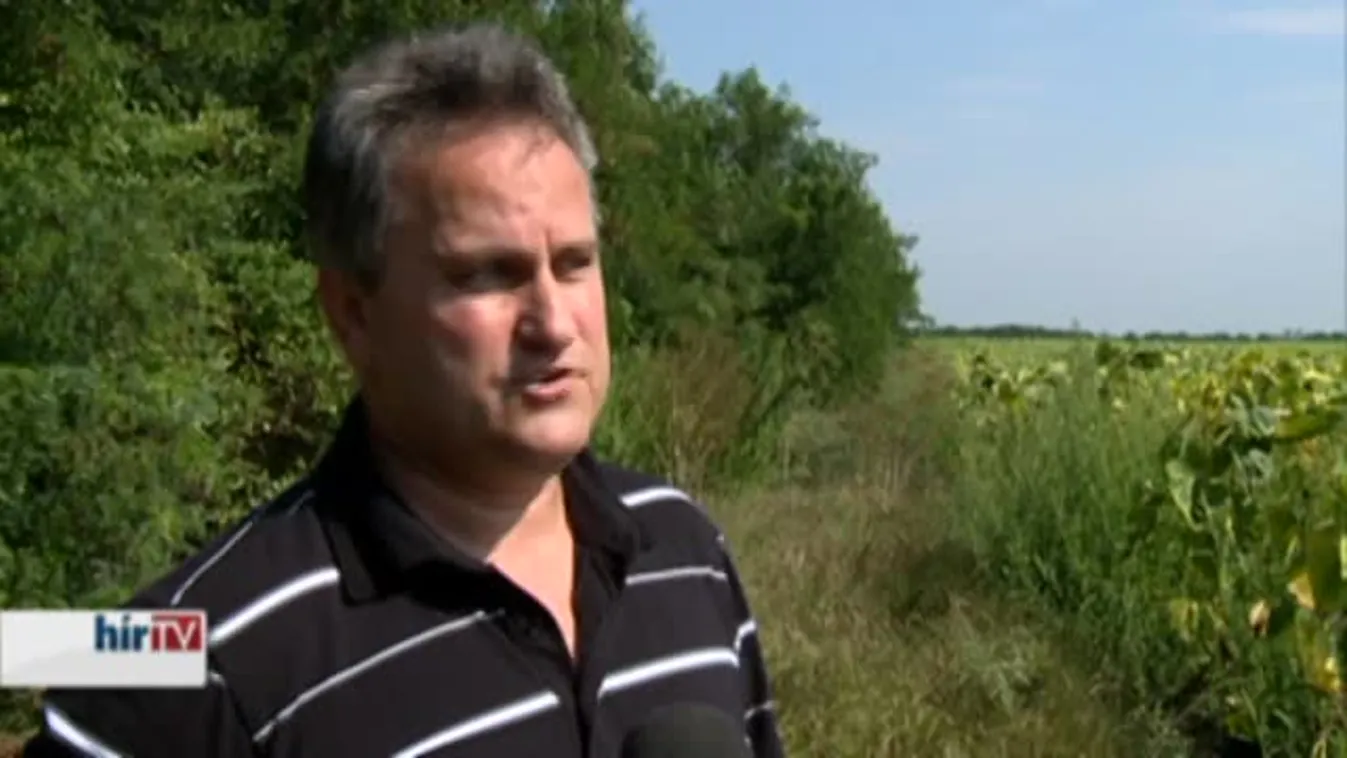 Soroló – Nincs vége a pocokinváziónak