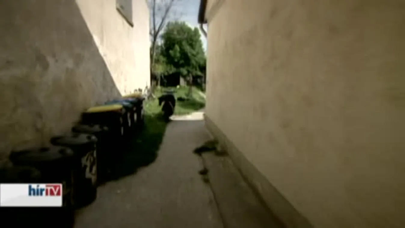 Ingatlanpiac – Tájépítők