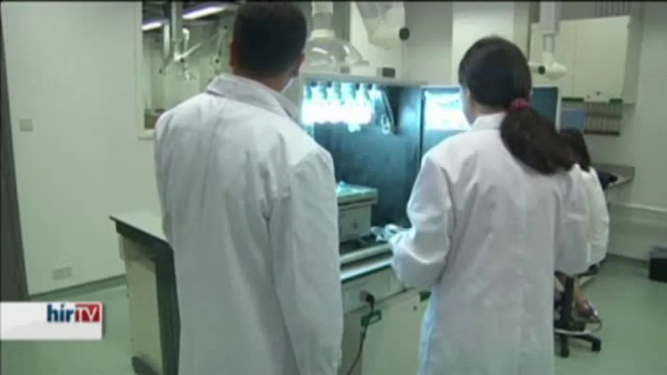 Felfedező – Fényesen