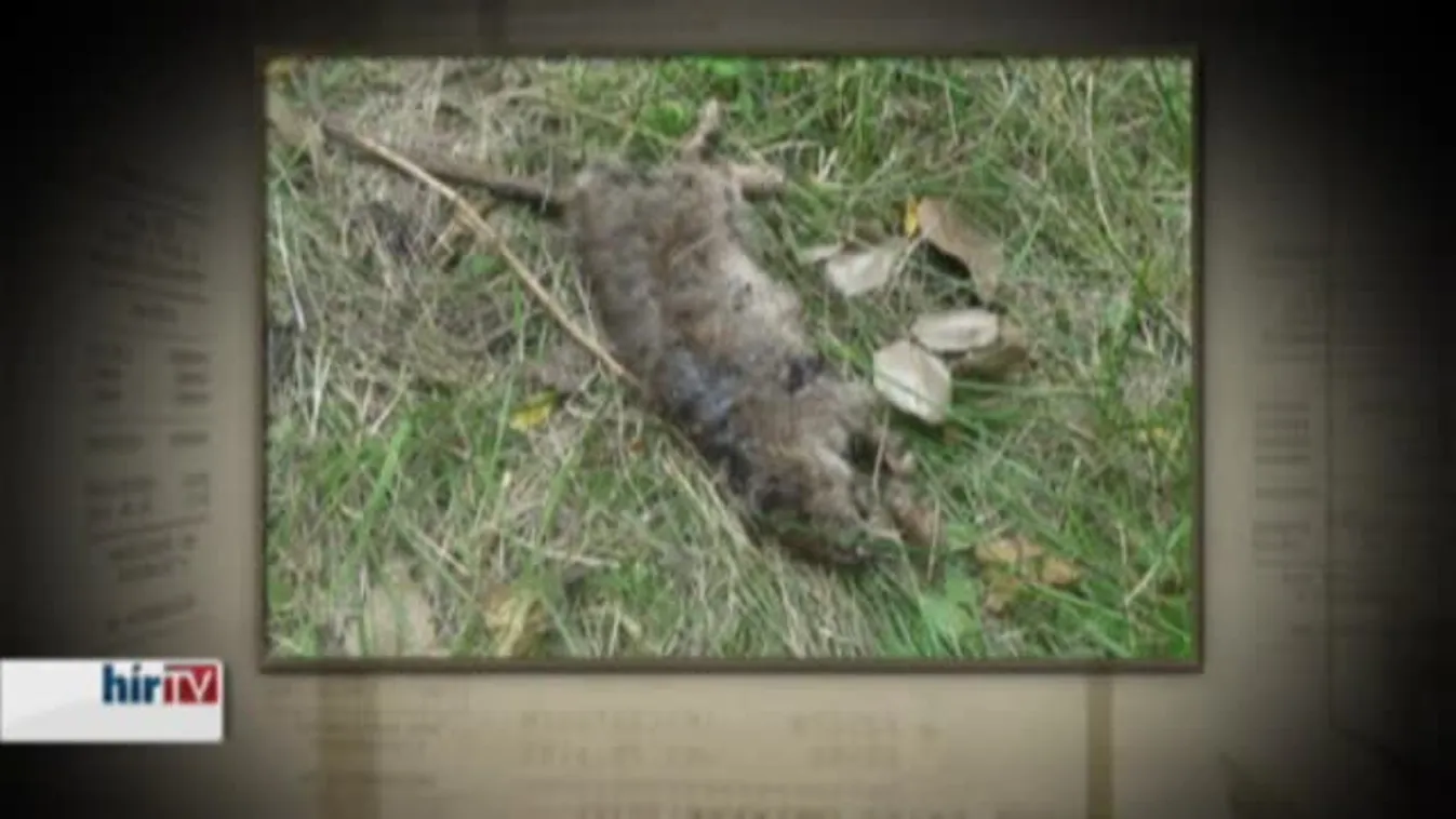 Panaszkönyv - Mit tehetünk, ha kibírhatatlanok a szomszédaink?