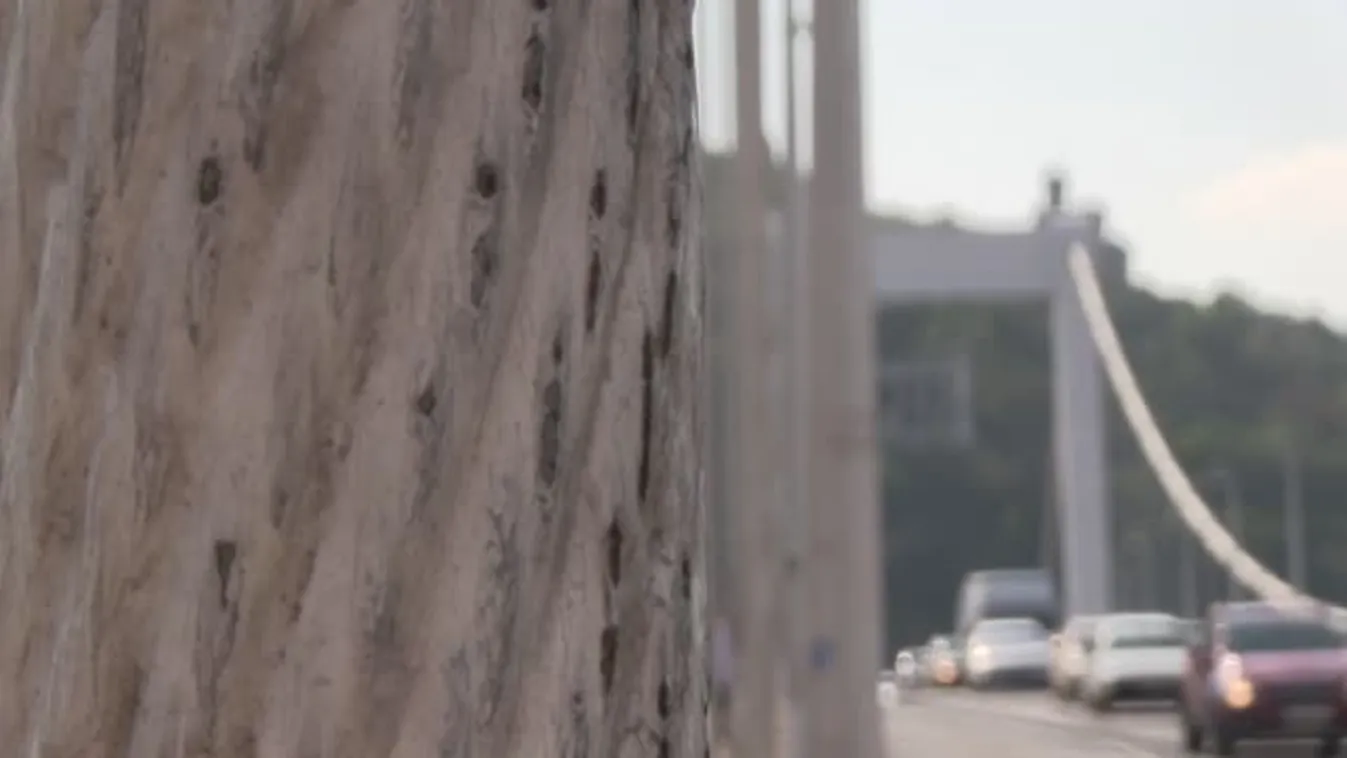 Így fest belülről az Erzsébet híd