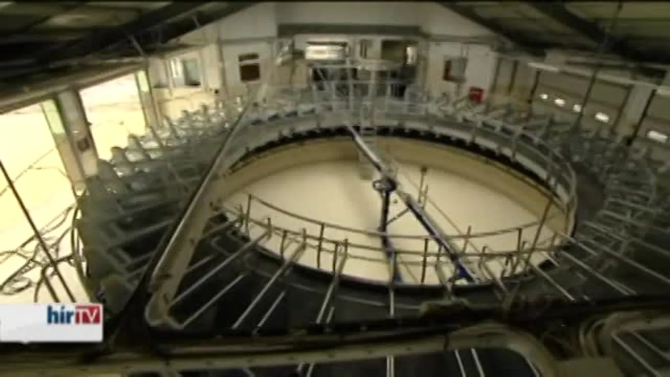 Nemcsak elbocsátásokra kényszerülhetnek