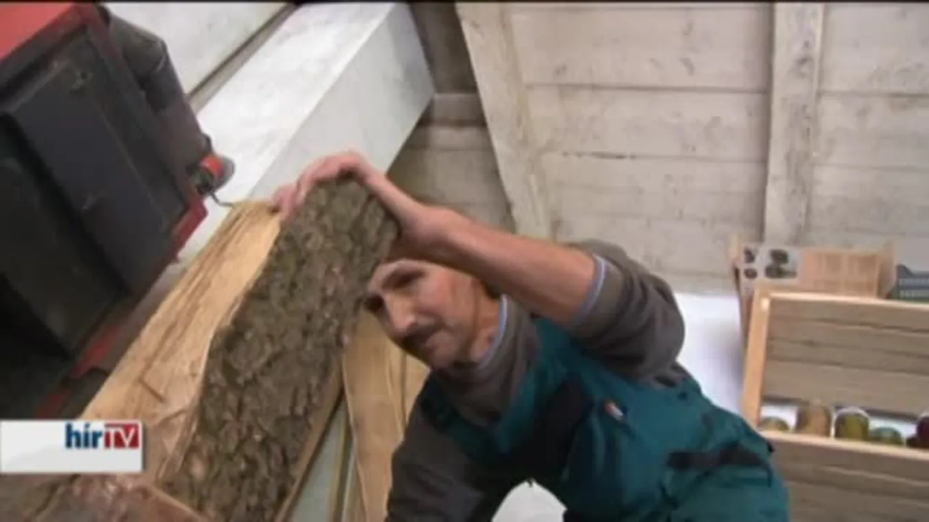 Minden állami erdőgazdaság kiveszi részét az akcióból