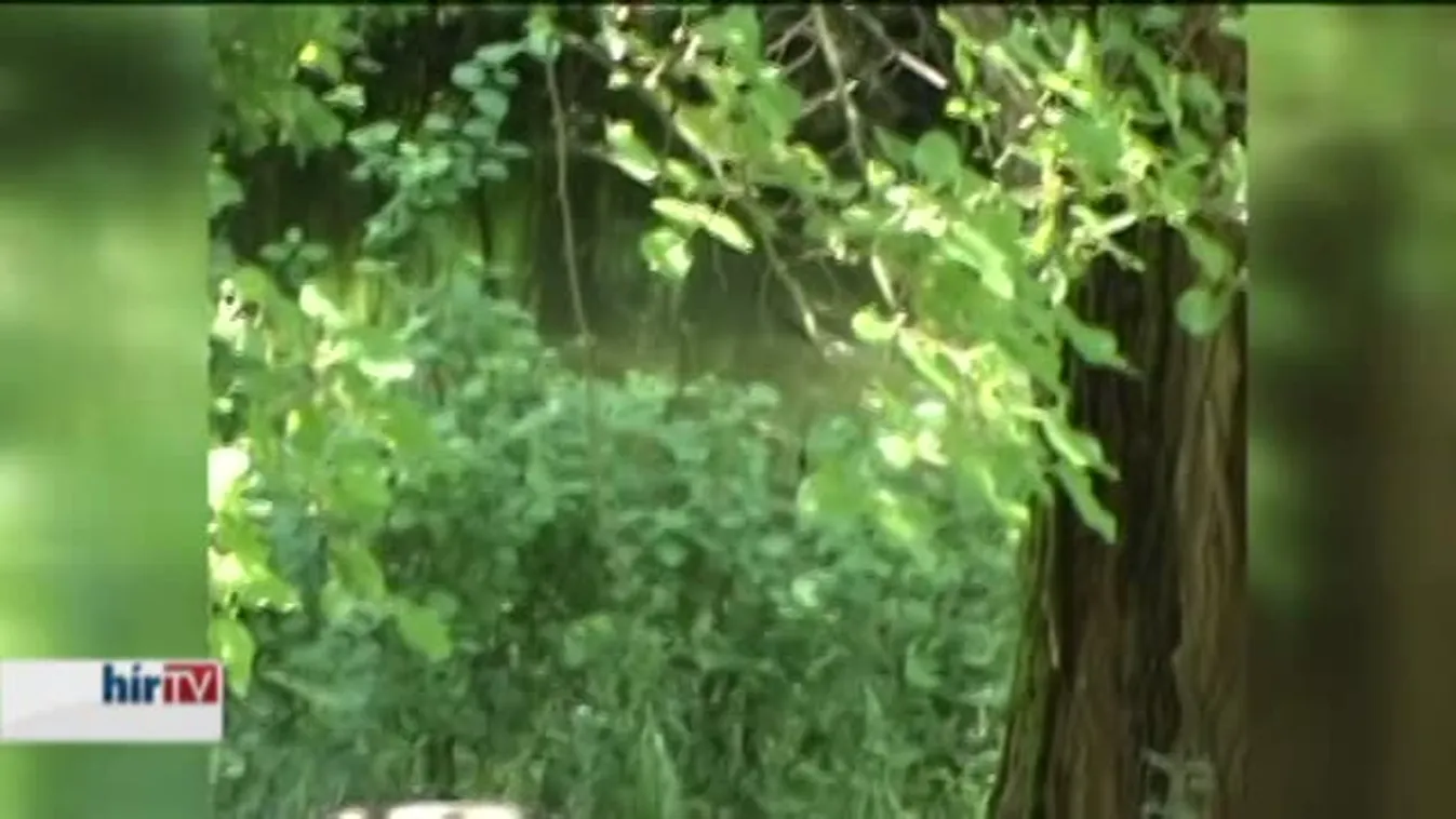 Az állomány gyérítése már nem elég