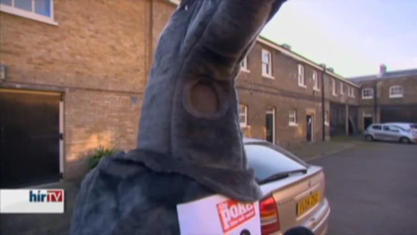 Felfedező – Mezei olimpia