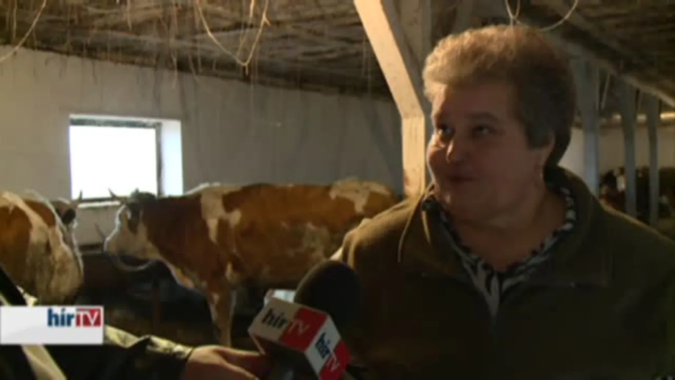 Soroló – Életképes gazdaság