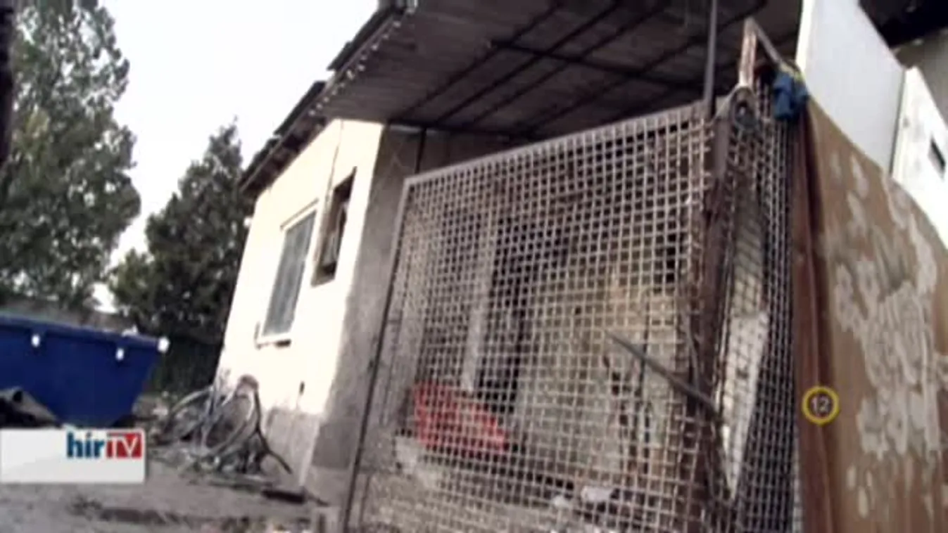 Riasztás – Emberkereskedők