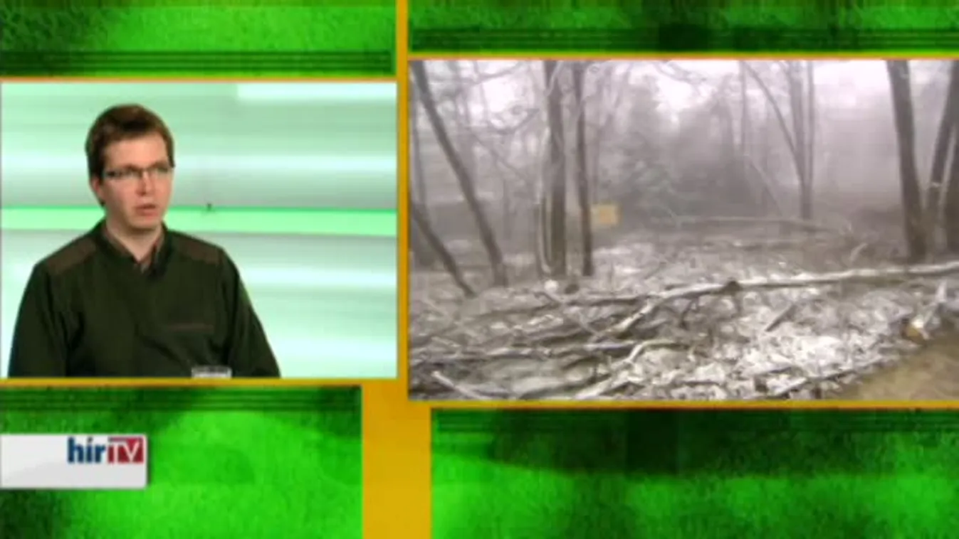 Zöld övezet - Döbbenetes pusztítás