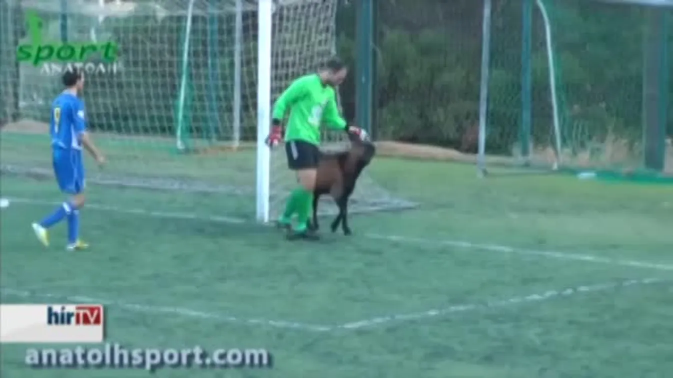 Kecske zavart meg egy labdarúgó mérkőzést Krétán