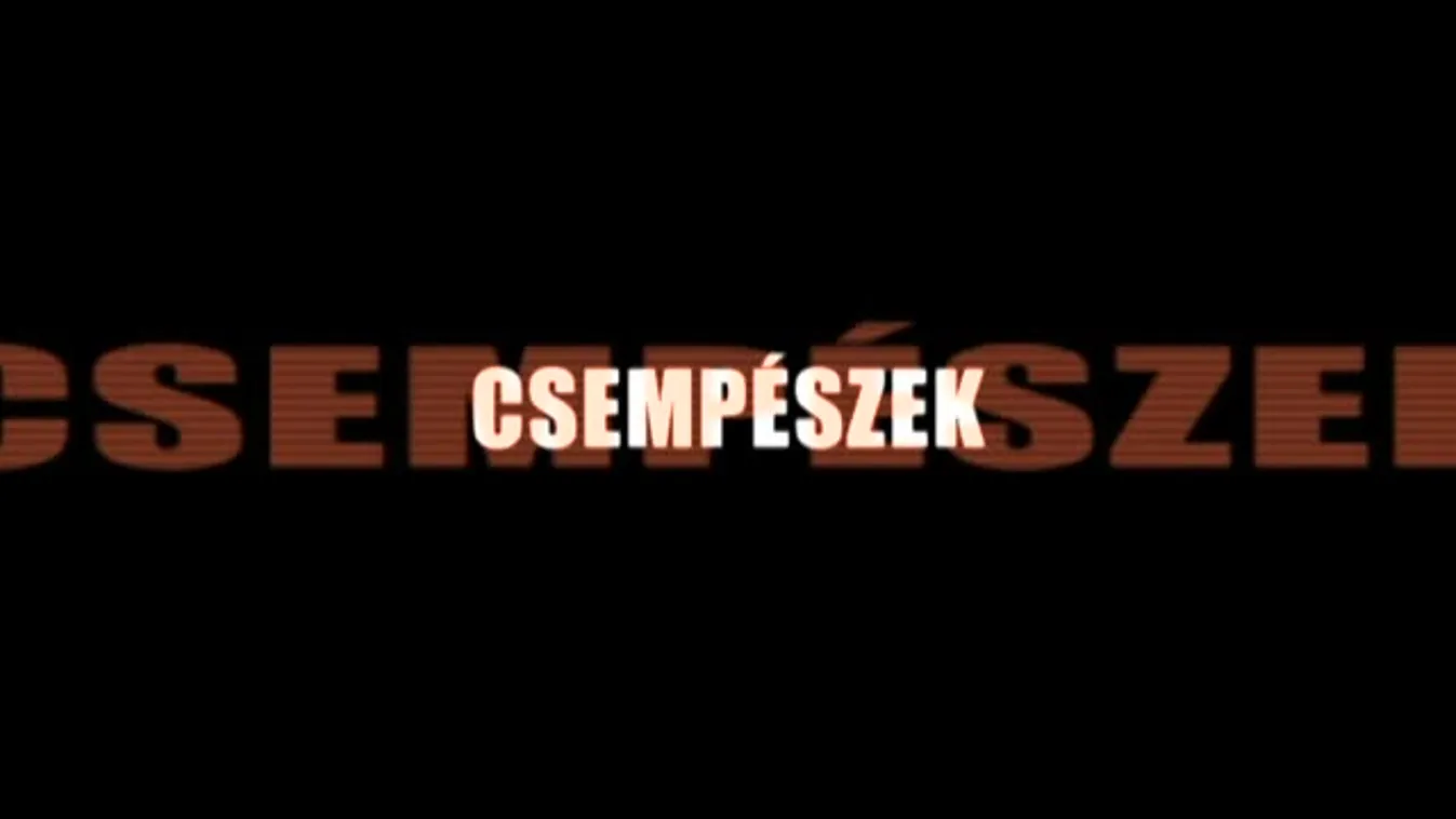 Riasztás - Százmilliárdos kár