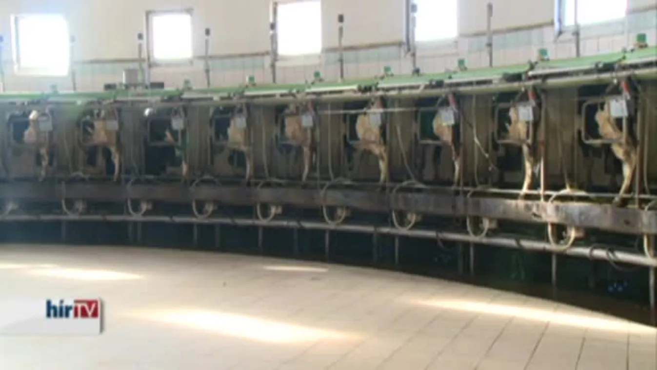 Soroló – Szabad piac és átrendeződés