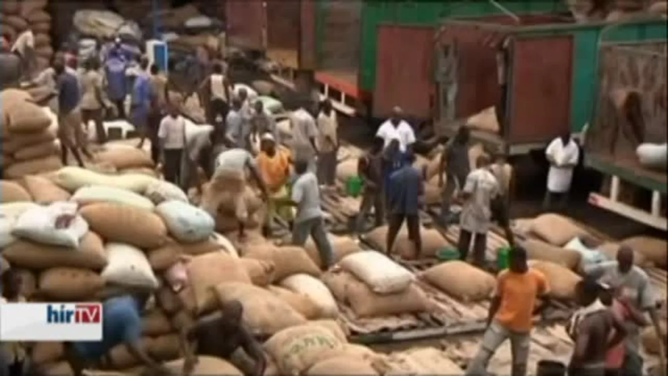 Falfestészet – Felfedező