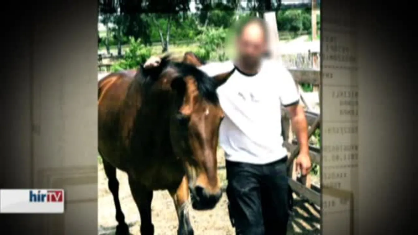 Panaszkönyv – A lóvá tett gazda