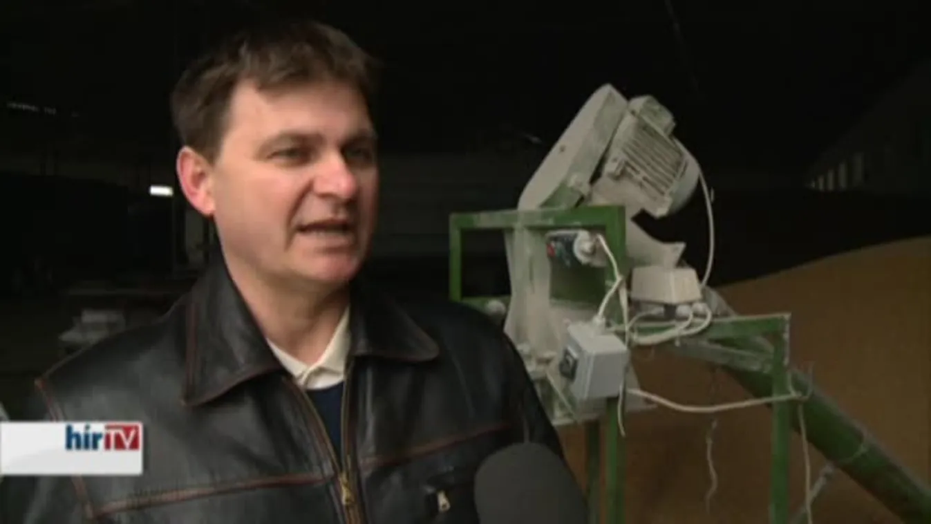 Soroló - A szolgáltatások éve