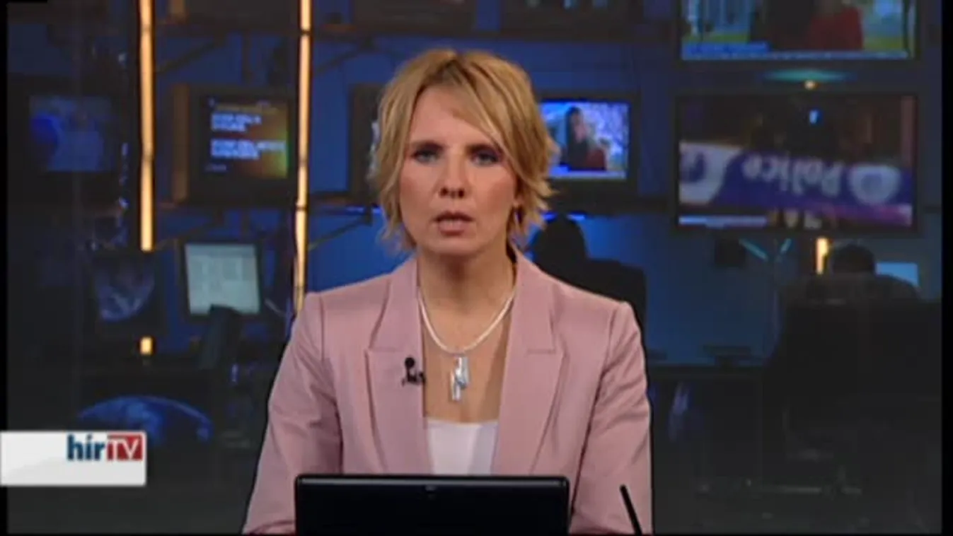 Surányi: Négy évvel ezelőtt kellett volna forintosítani