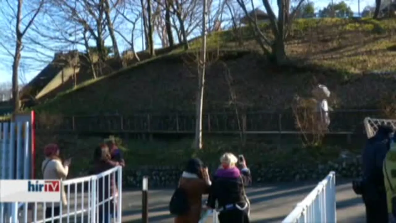 Állatkerti gyakorlat Tokióban