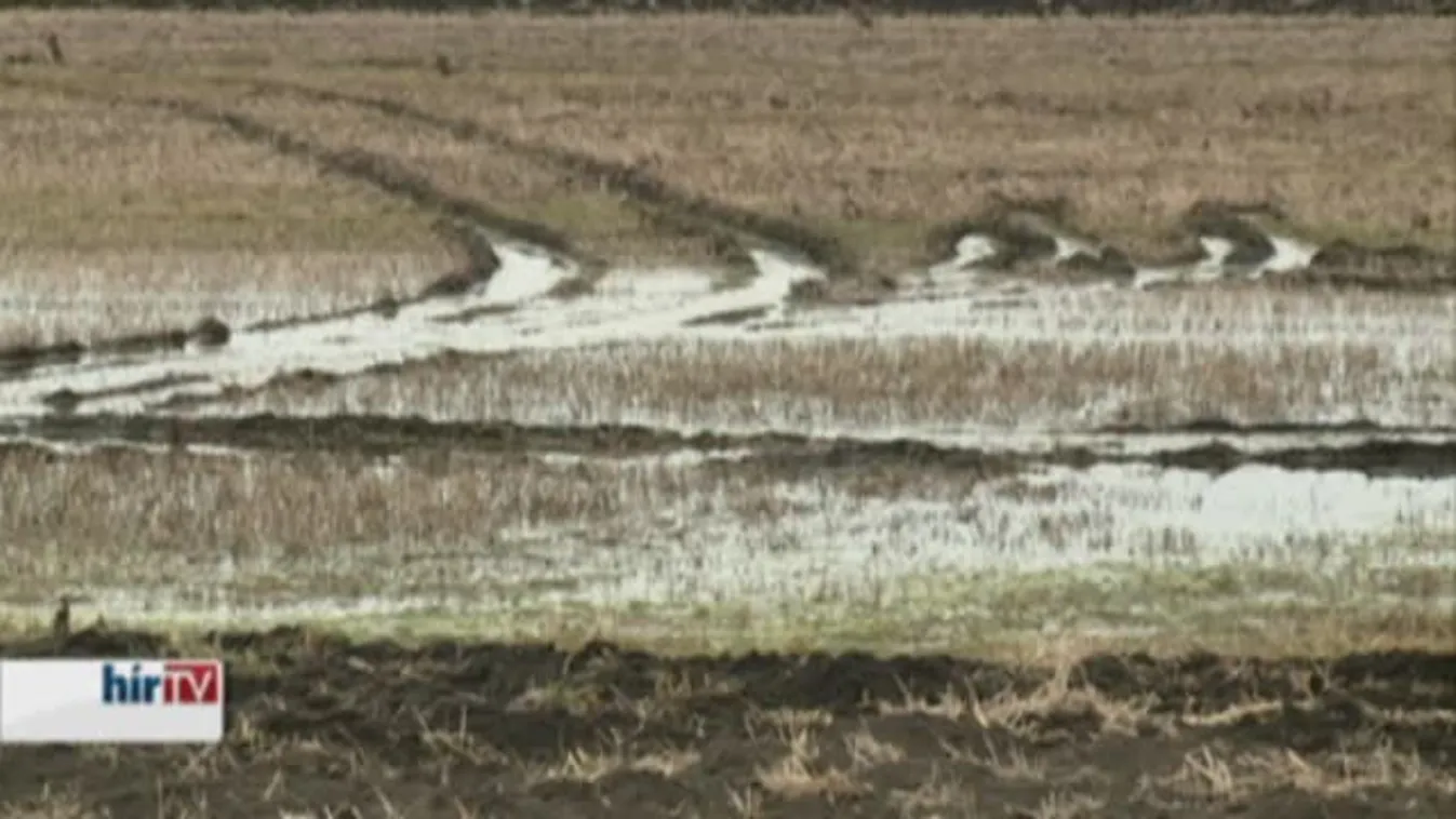 Soroló – Dupla nyereségre is számíthatnak