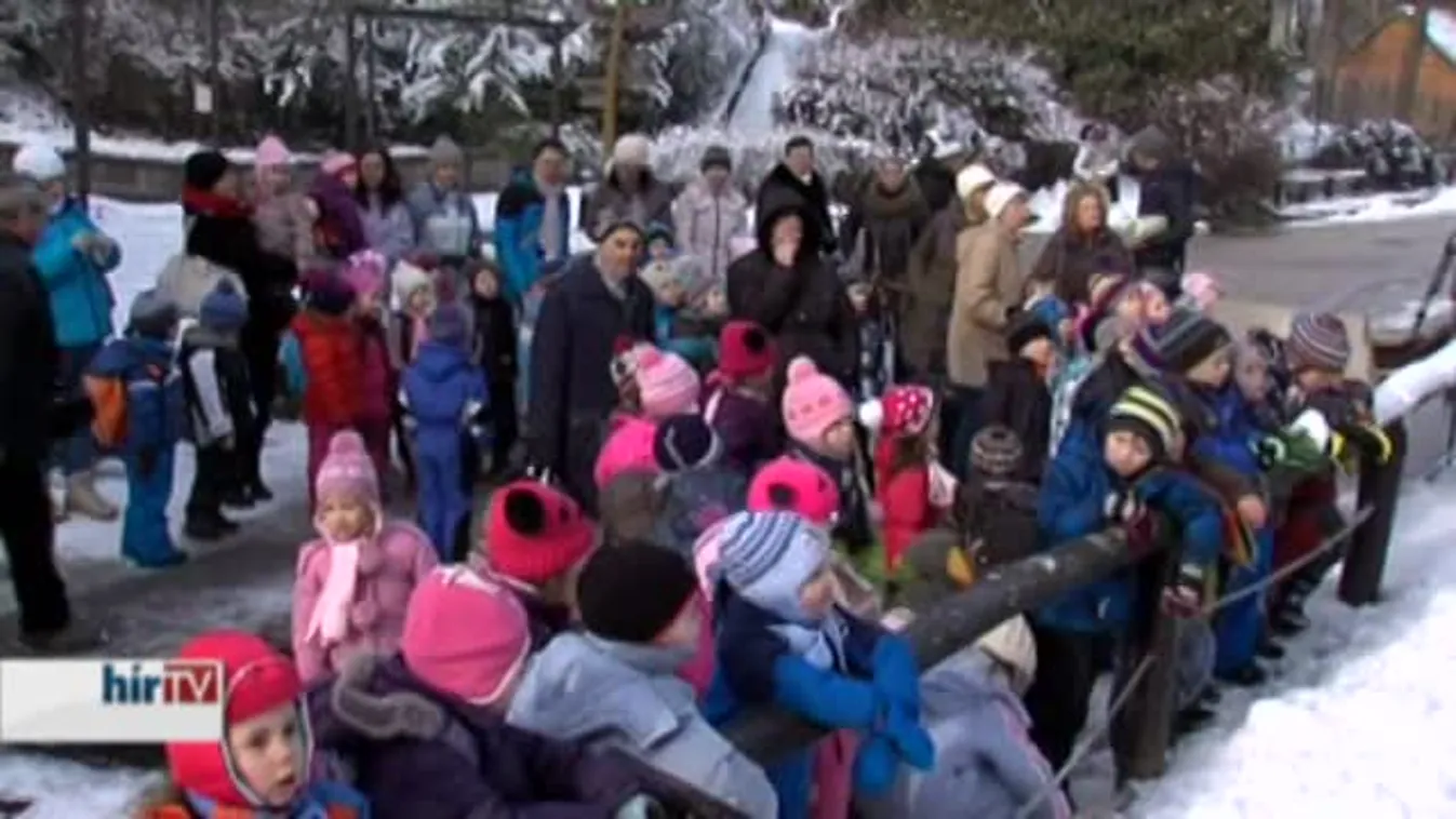 Bori meglátta az árnyékát, mégsem fordult vissza