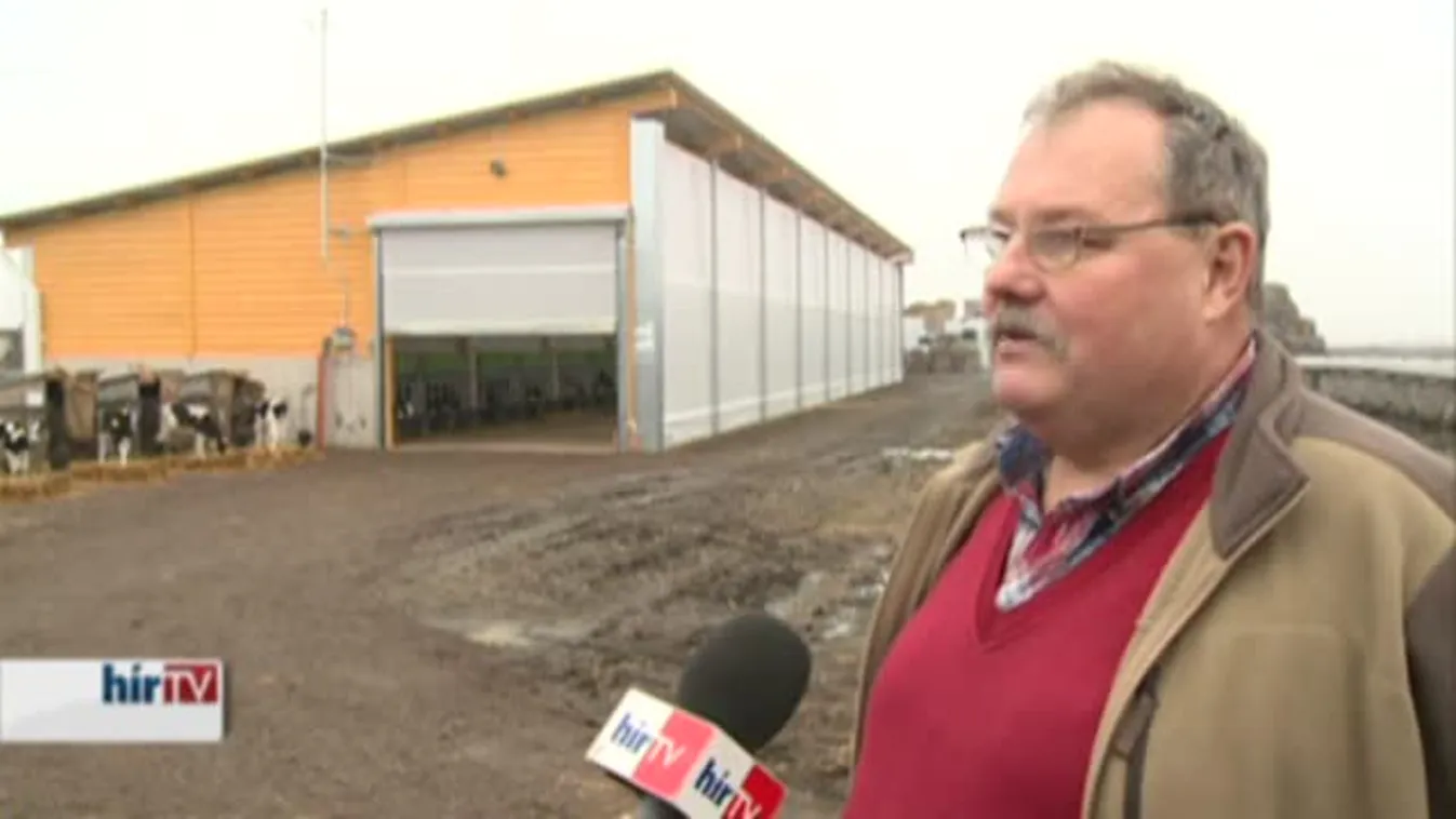 Soroló - Az egyik legkorszerűbb borjúnevelde