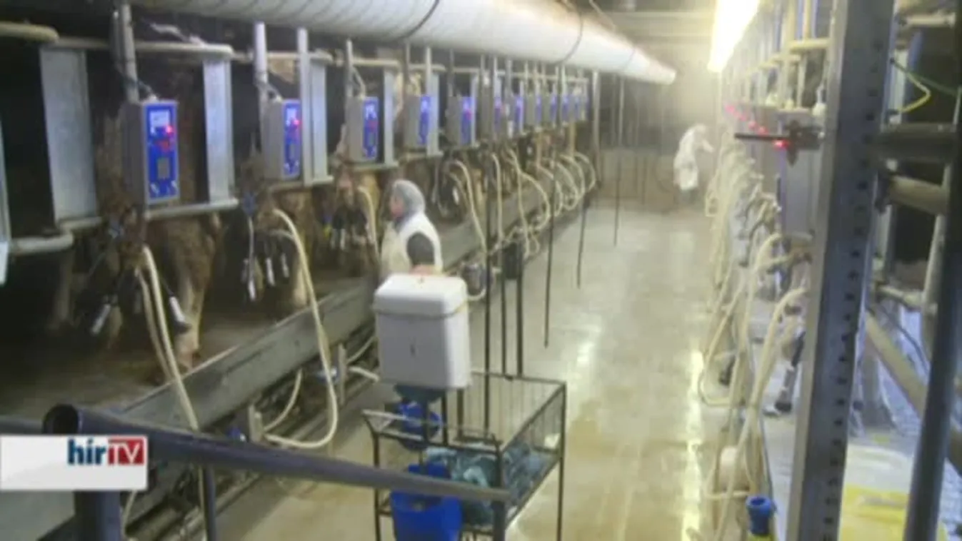 Soroló - Módosíthatják a földtörvényt