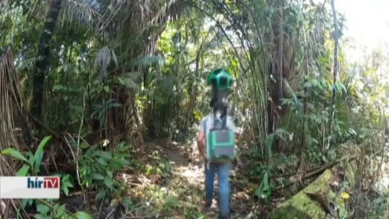 Az Amazonas az interneten