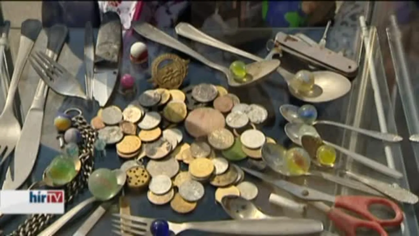 Még a banán is megterem a szennyvíztisztító telepen