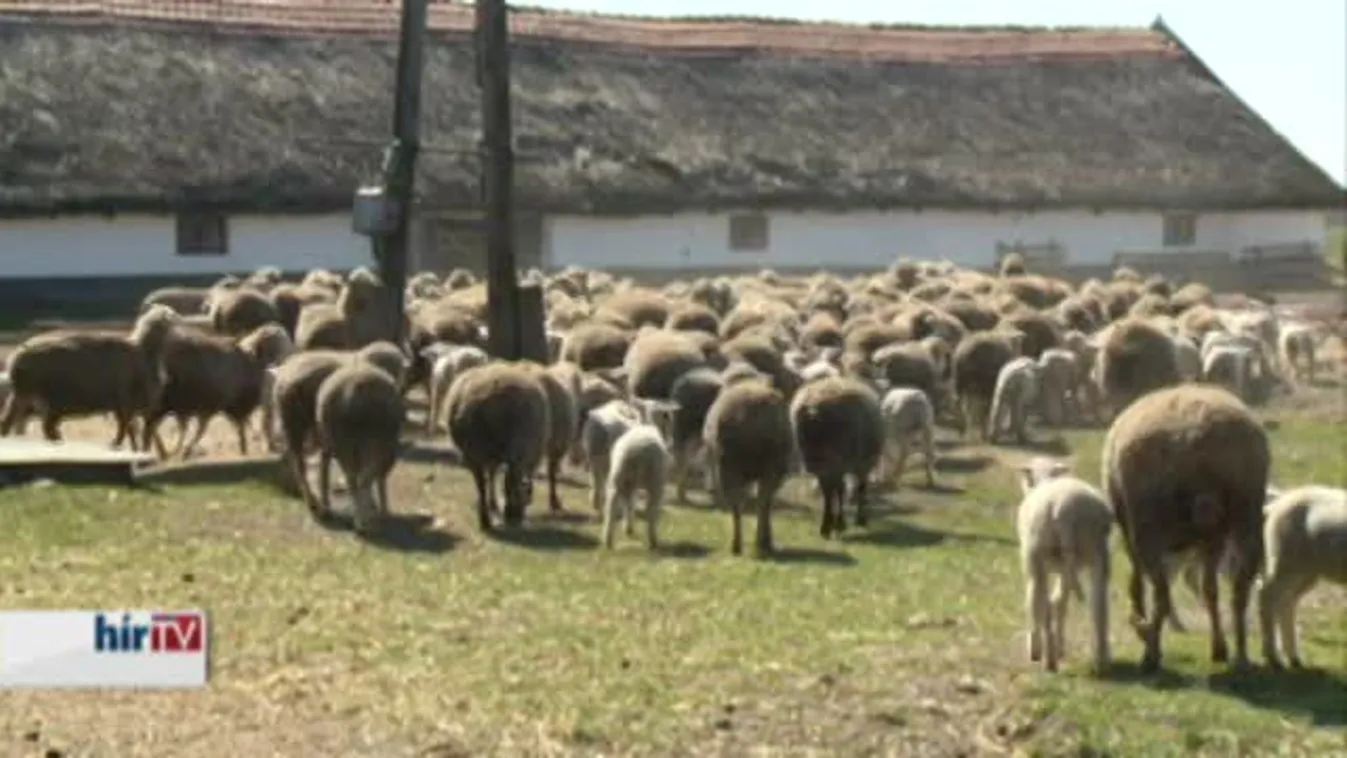 Soroló – Belülről öklelt ólajtók