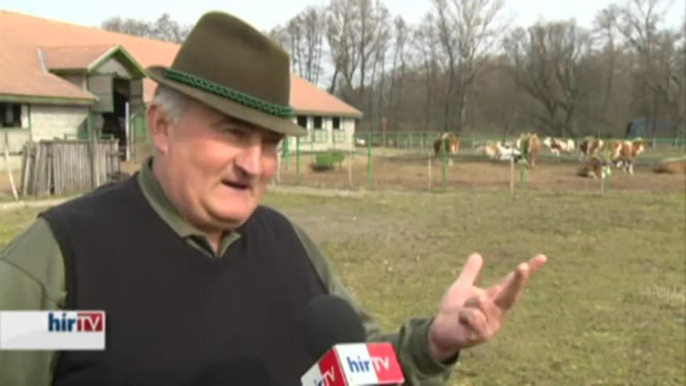 Soroló – Bajban sok száz családi gazdaság