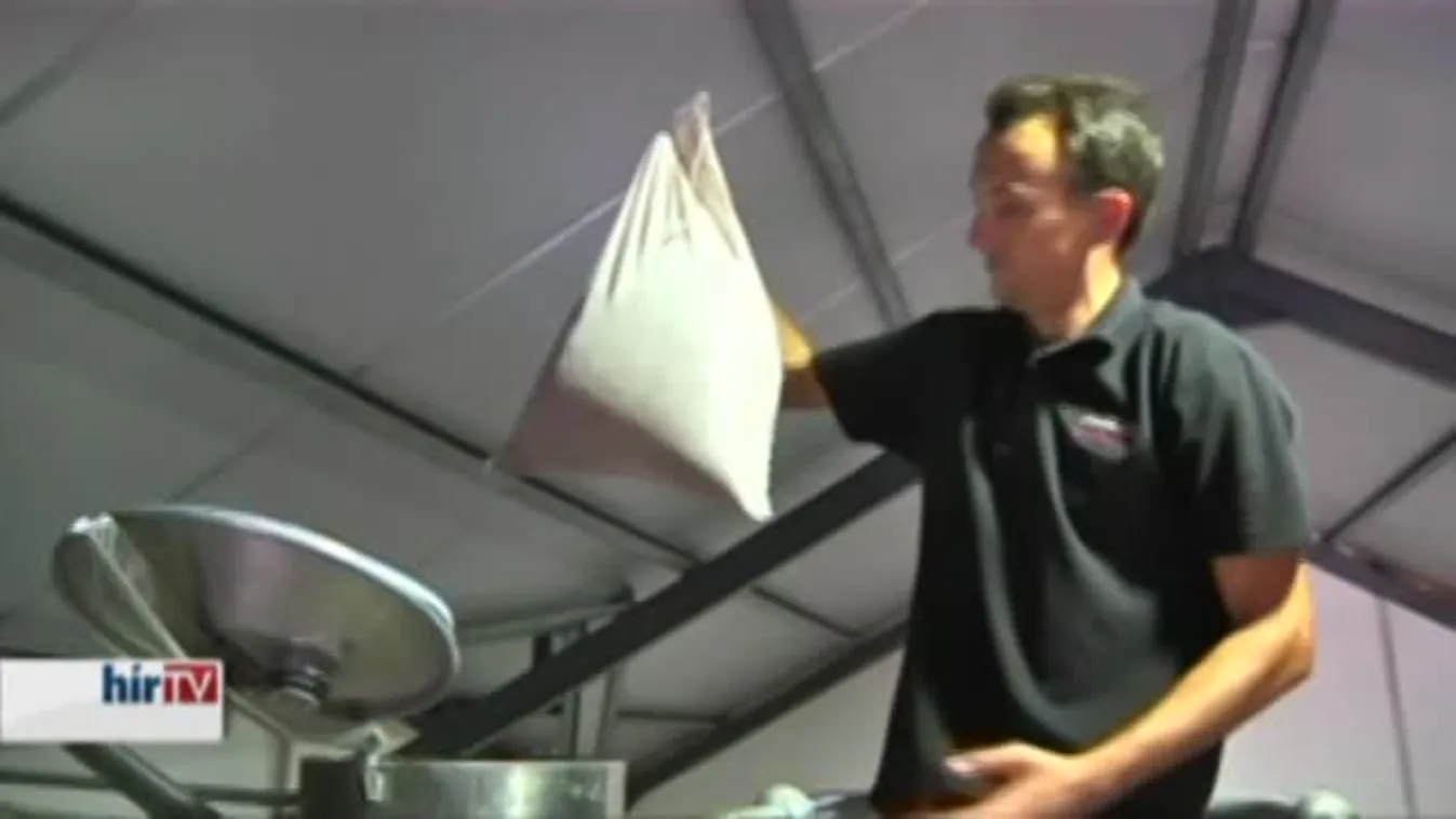 Felfedező – Egy egész várost tart sakkban egy holland fülesbagoly