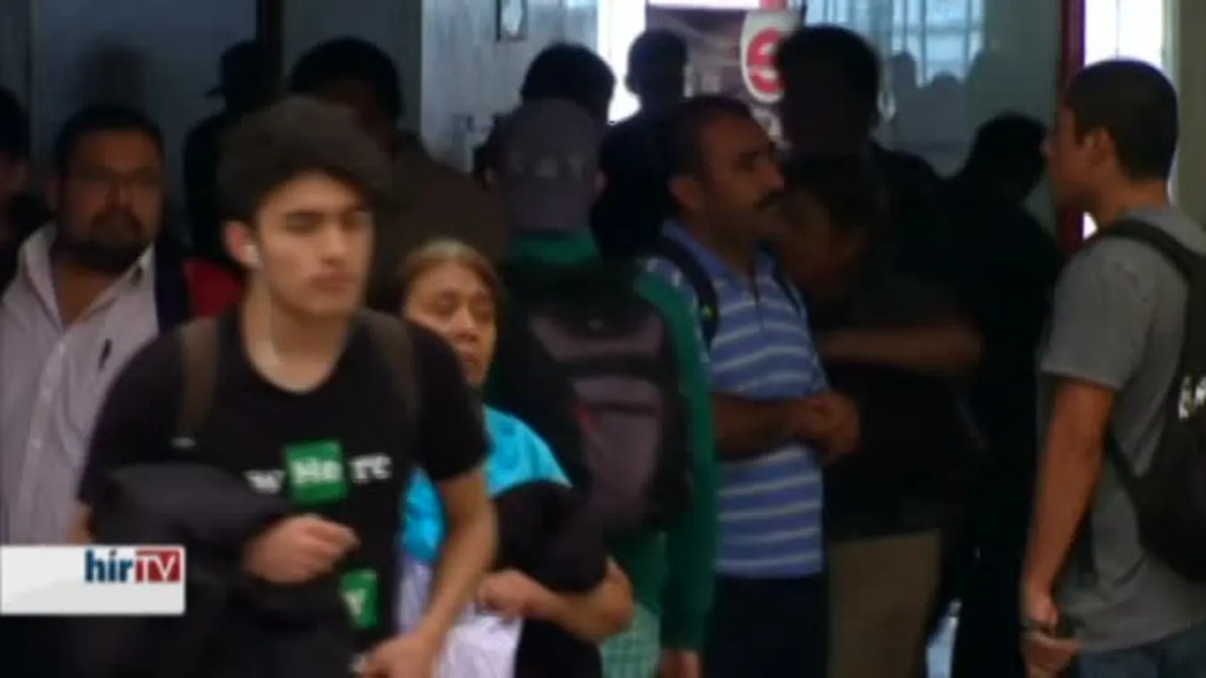 Felfedező – Muzsikál és táplál